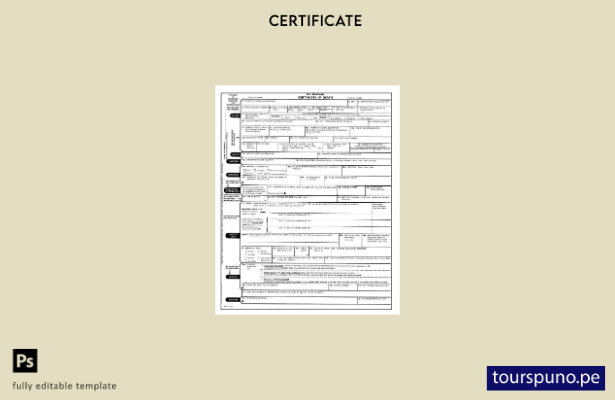 listo para imprimir plantilla de certificado de defunción del Registro General 2